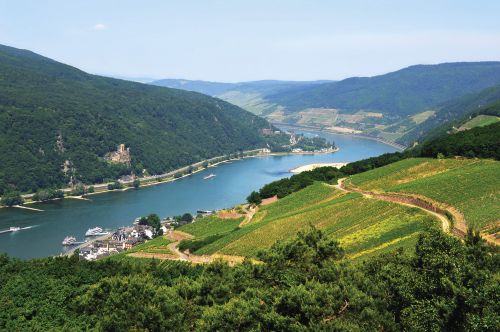 Photos du Voyage VENET : La majestueuse vallée du Rhin romantique ( Du 13 au 17 Juillet )